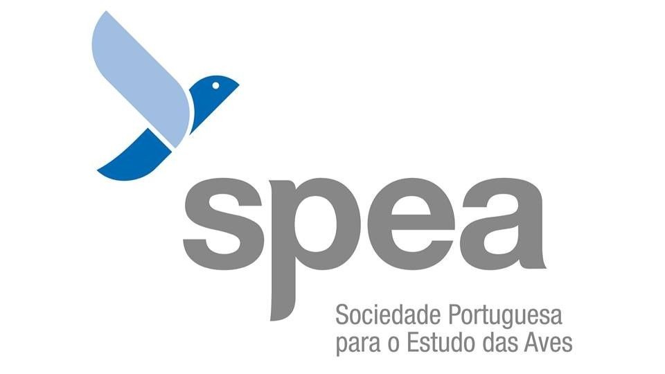 Change+ SPEA Lisboa